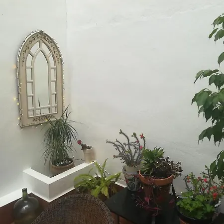 Ground Floor Spacious Central Apartment On The Carebeo Apartamento *