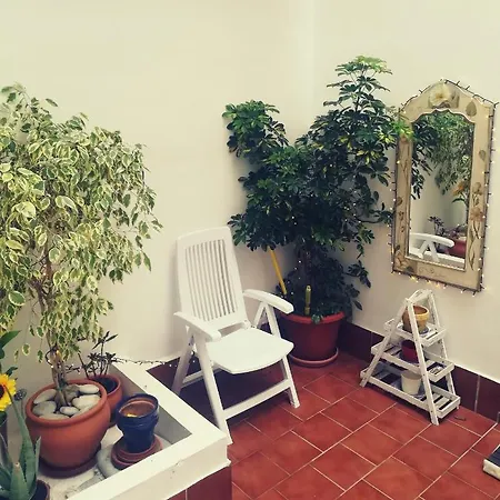 Ground Floor Spacious Central Apartment On The Carebeo *